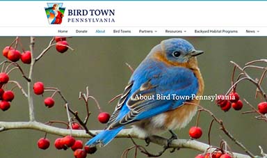 Bird Town PA